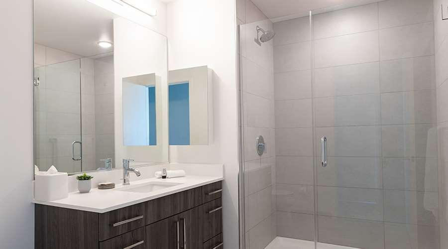 Aparthotel Sentral Michigan Avenue Chicago Exterior foto A shower with a sliding door